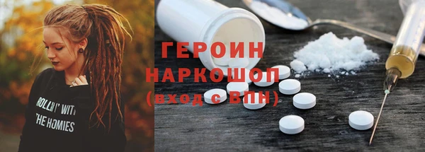 индика Новодвинск