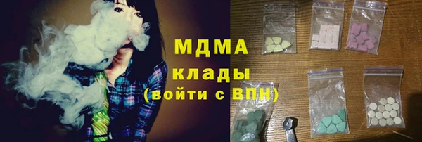 дживик Няндома