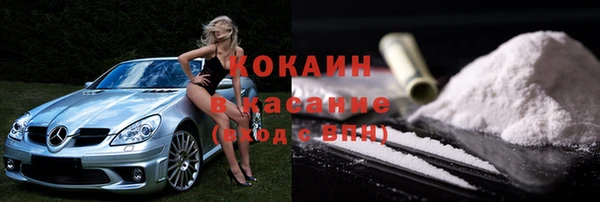 дживик Няндома
