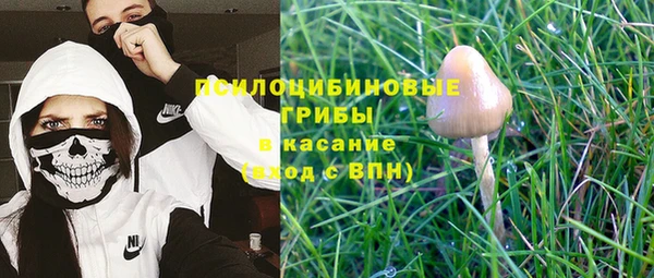индика Новодвинск