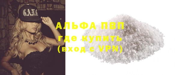 дживик Няндома
