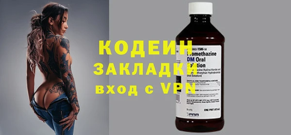дживик Няндома
