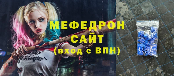 дживик Няндома
