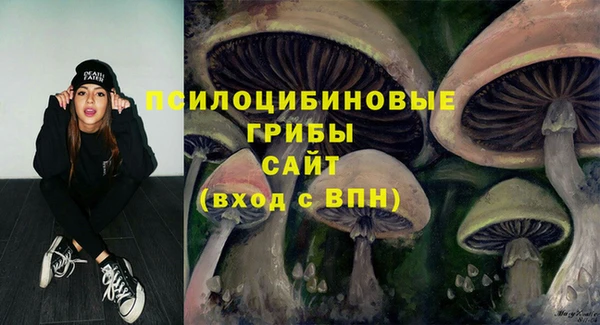 дживик Няндома