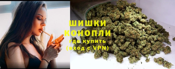 дживик Няндома