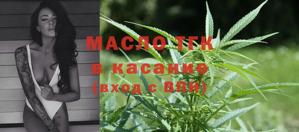 индика Новодвинск