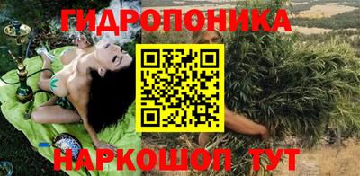 тгк Гусь-Хрустальный