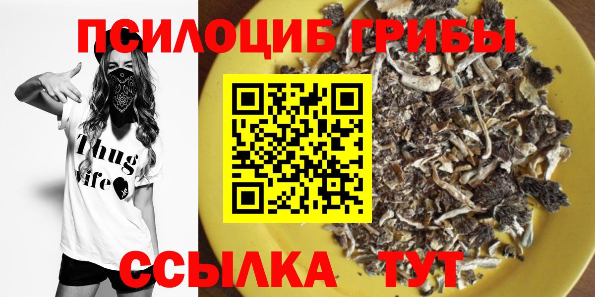 Псилоцибиновые грибы мицелий Муравленко