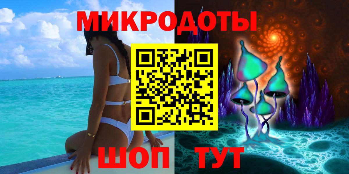 Псилоцибиновые грибы Psilocybe Муравленко