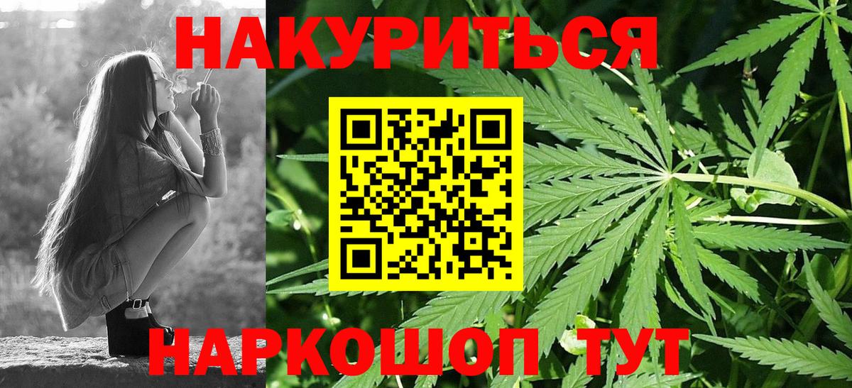 Конопля планчик  Марихуана Ganja  Конопля гибрид  Муравленко 